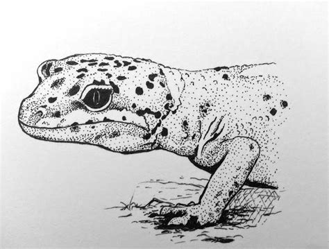 Leopard gecko by JasmineCollinsArt on DeviantArt