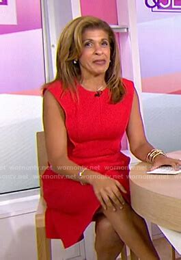 Hoda Kotb Outfits & Fashion on Today | Hoda Kotb | WornOnTV.net