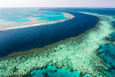 The Great Barrier Reef is in very poor shape, suggests report | Times of India Travel