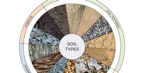 An Illustrated Guide to the Most Important Wine Soils You Should Know (Infographic) | VinePair