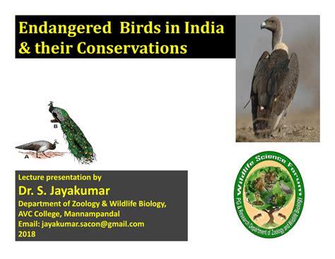 (PDF) Endangered birds in India