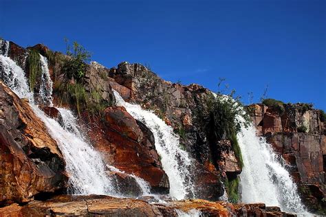 The Biodiversity Hotspot of the Cerrado - WorldAtlas.com