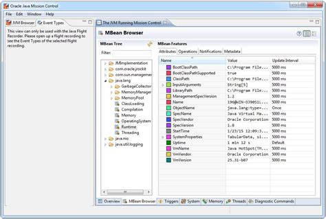 Java se development kit 10 32bit - pastorwestern