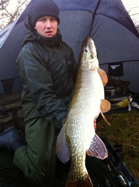 December Fish of the Month Entry - Highland Pike!