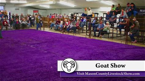 Mason County Livestock Show Live Stream - YouTube