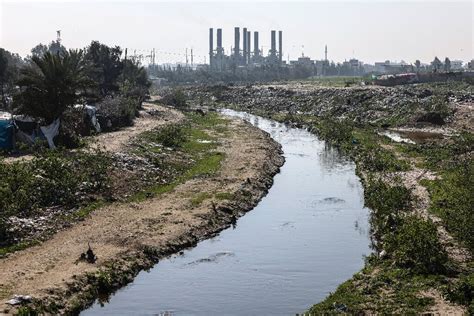 Pollution clean-up aims to create Gaza's first nature reserve