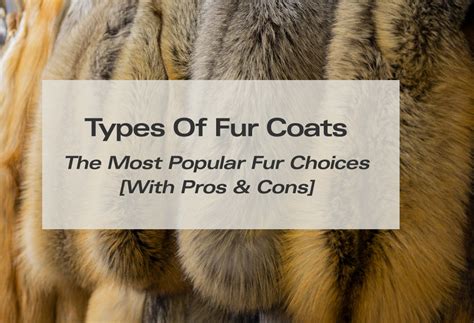 Types Of Luxury Fur Coats: 5 Most Popular Fur Choices [With Pros & Cons] – POLOGEORGIS