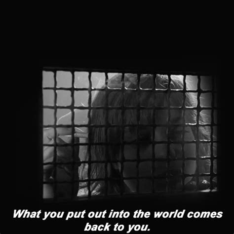 American Horror Story Asylum Quotes. QuotesGram