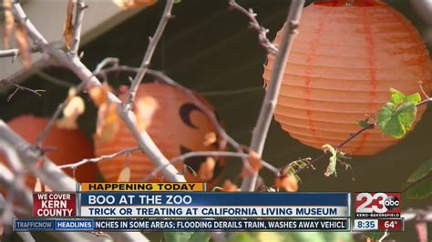 CALM Zoo hosts its annual "Boo at the Zoo" event - YouTube