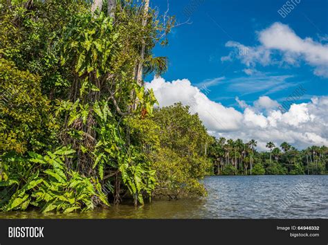 River Peruvian Amazon Image & Photo (Free Trial) | Bigstock