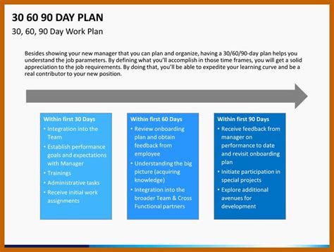 20 100 Day Plan Template Excel