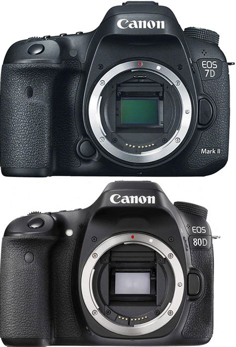 Canon EOS 7D mkII vs Canon EOS 80D - davemclelland.com