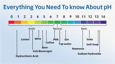 Safe pH Level for Drinking Water – MyWaterEarth&Sky