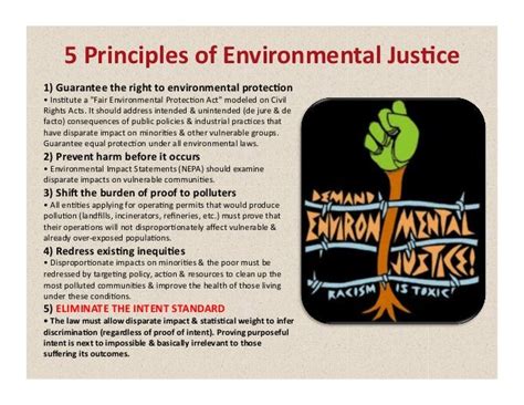 Toxic Racism: The Struggle for Environmental Justice