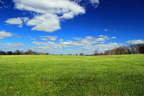 HD wallpaper: blue car surrounded green grass field and rocky mountain ...