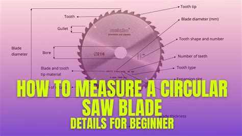 How to Measure a Circular Saw Blade – Best Guide For Beginner – Tools Advisers