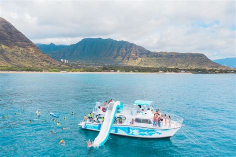 Oahu Boat Tours ~ Dolphin Cruise on Oahu with Lunch Included