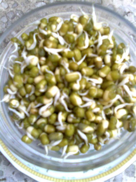 How To Make Healthy Sprouts At Home Itself : Moong or Green Gram Sprouts And Kala Chana or Black ...