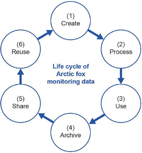 Simplified data life cycle of an Arctic fox monitoring project. Figure... | Download Scientific ...