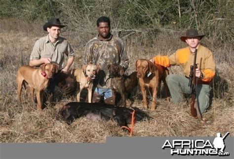 Working Rhodesian Ridgeback Litter | Hunting