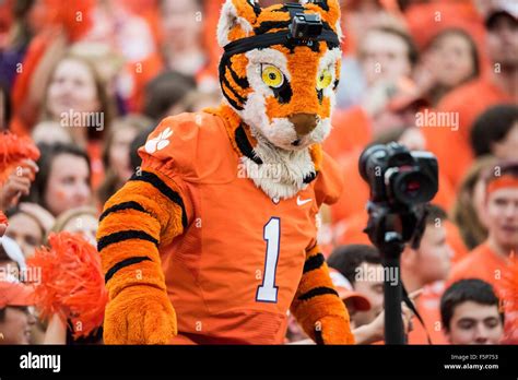 The Clemson Tigers mascot during the NCAA college football game between ...