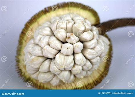 Ripen tarap fruit stock image. Image of malaysian, dishes - 107737031