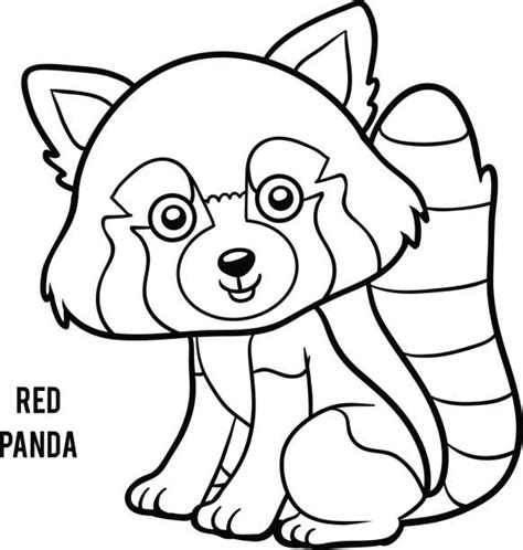 Red Panda Illustrations, Royalty-Free Vector Graphics & Clip Art - iStock