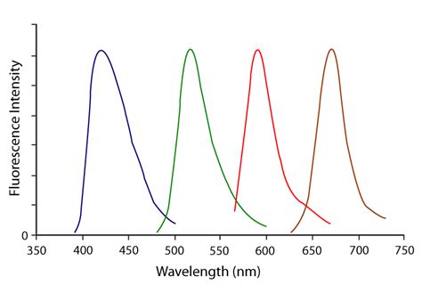 Alexa Fluor 488® Secondary Antibodies - Jackson Immuno