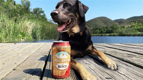 Busch unveils new beer, for your dog - mlive.com