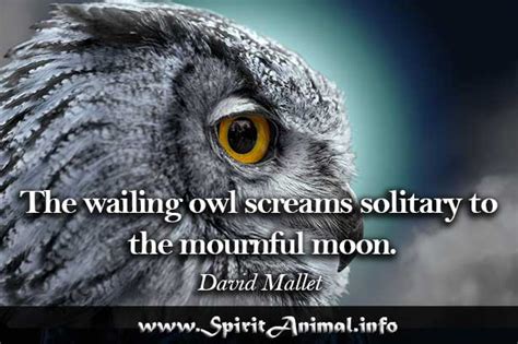 Owl Quotes