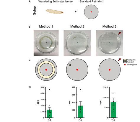 summary of the results of locomotion experiments on drosophila larvae ...