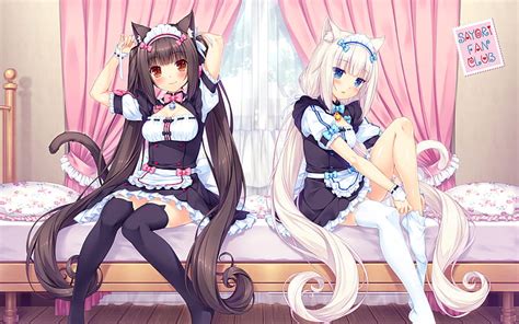 Nekopara 1080P, 2K, 4K, 5K HD wallpapers free download | Wallpaper Flare