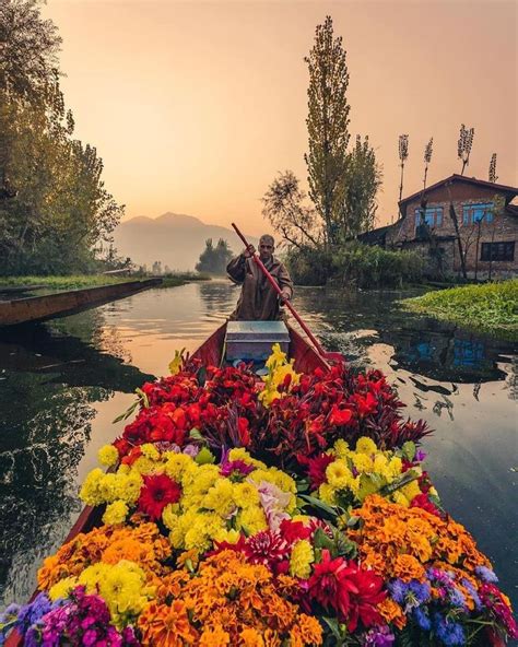 Kashmir tourism Srinagar travel Gulmarg adventure Pahalgam trekking Houseboats in Dal Lake ...