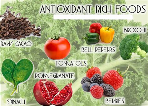 Best Antioxidant Foods For Men And Women - Yabibo.com