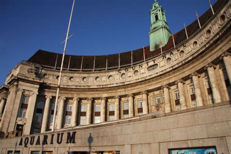 County Hall - London Sea Life Aquarium and Tourist Attractions