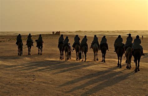 Sahara Camel Trekking in Tunisia 2024 - Rove.me