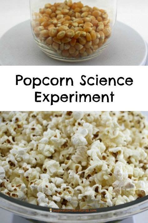 Does popped popcorn weigh the same as unpopped kernels? Conduct this ...