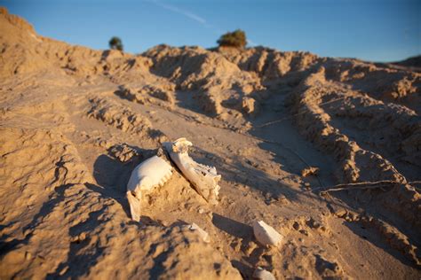 Mungo Lady and Mungo Man | Share Mungo Culture | Visit Mungo National Park