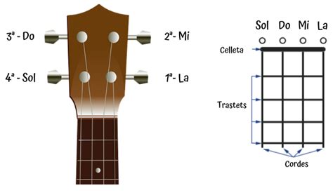 Guía básica de ukelele: acordes, notas y afinación - Ardemadrid