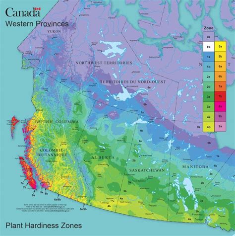 How to Find Your Canadian Plant Hardiness Zone — Empress of Dirt