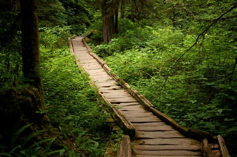 If There Are Only 5 Hikes You Ever Do In Washington, Make Them These | Beautiful hikes ...