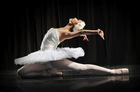 Orlando Ballet Performs Swans: Black and White and The Swan Princess