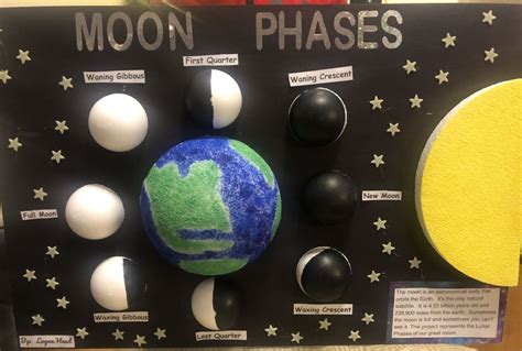 Moon Phases School Project | Moon projects, Moon phases, Moon phase project