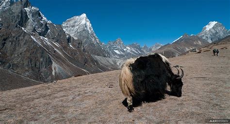 Nepal | Pictures from the Everest Base Camp trek. | Alex | Flickr