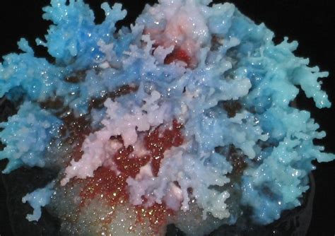 Salt Crystal Growth -- Cropped | You can see the salt bed on… | Flickr