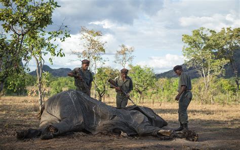 Jurassic Niassa - Africa Geographic