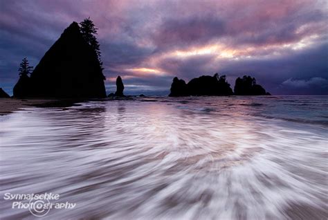 Shi Shi Beach – Camping am Point of Arches | Synnatschke Photography Blog