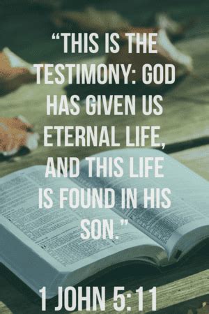 25 Important Bible Verses About Testimony (Great Scriptures)