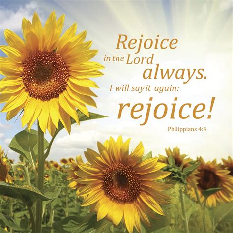 Card: "Rejoice in the Lord Always" - LifeSource Christian Bookshop