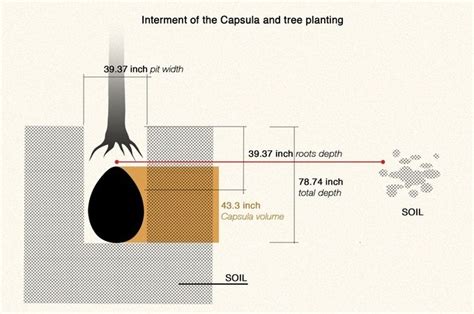 The End of Coffins - Organic Burial Pods Turn Bodies Into Trees